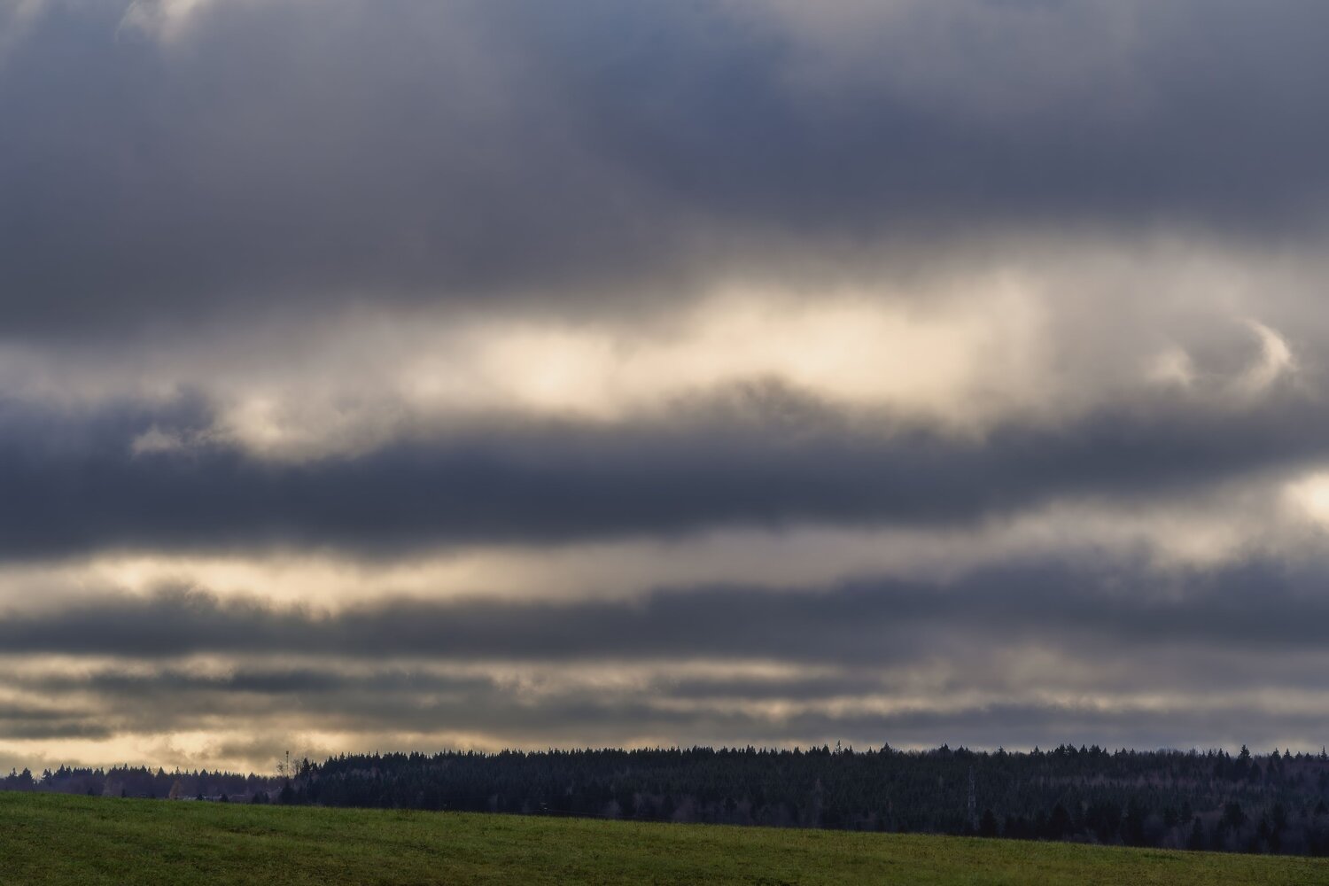 Photo #11329380