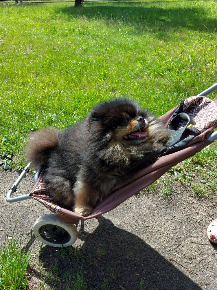 Photograph by ЭЛЬМИРА  ИСМАИЛОВА