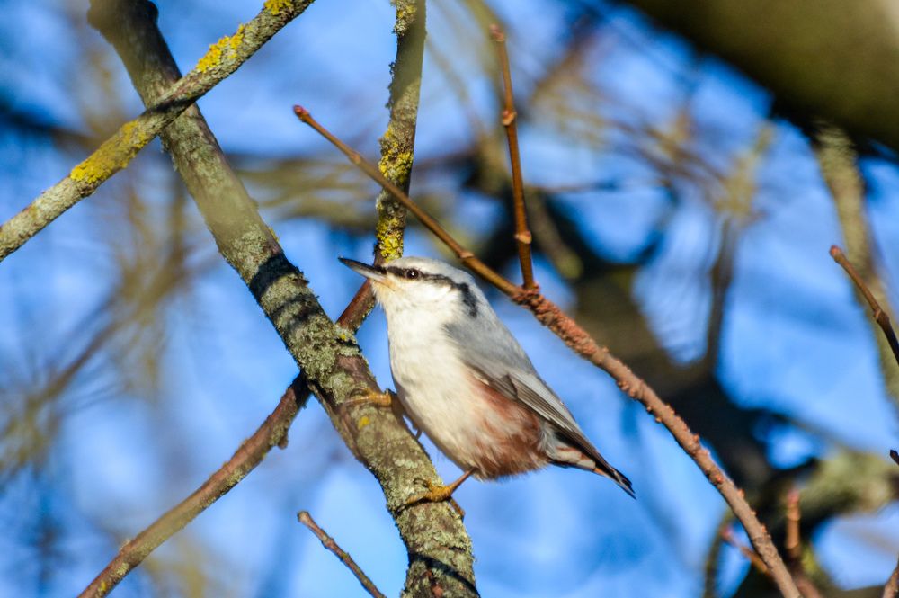 Photograph by Сергей Гуров