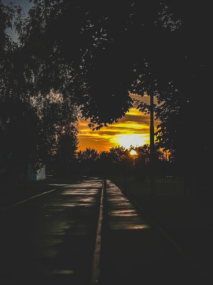 Фотография автора Светлана Володинская