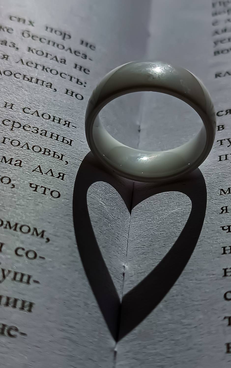 Photo #11329460