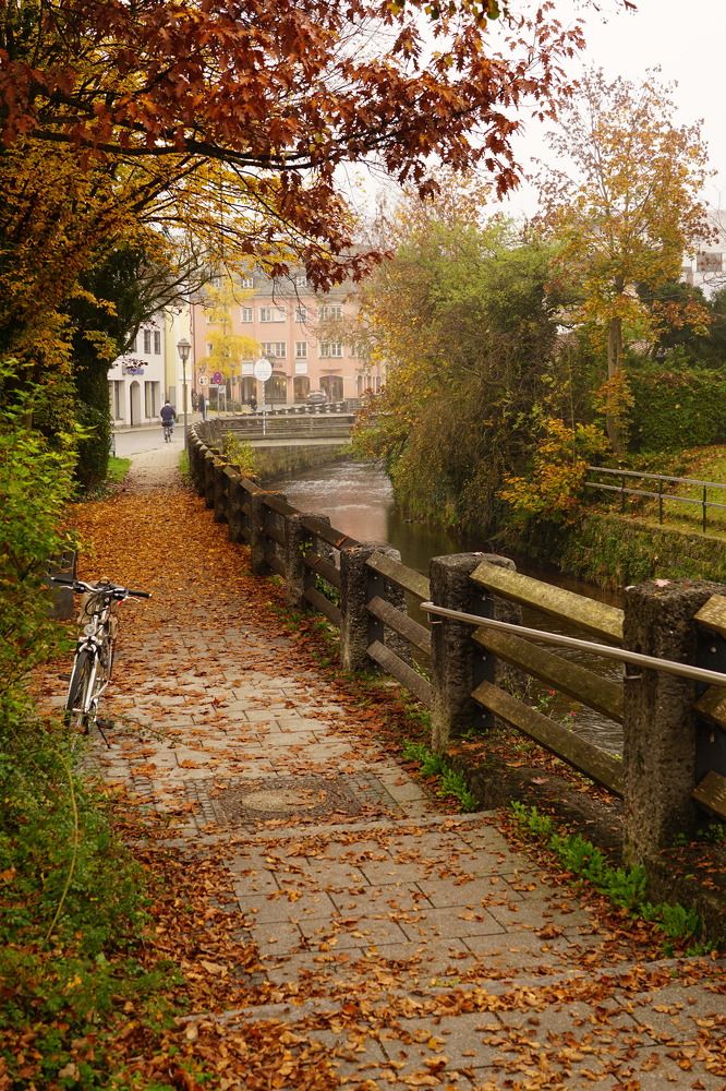 Фотография автора Liudmila Kiermeier