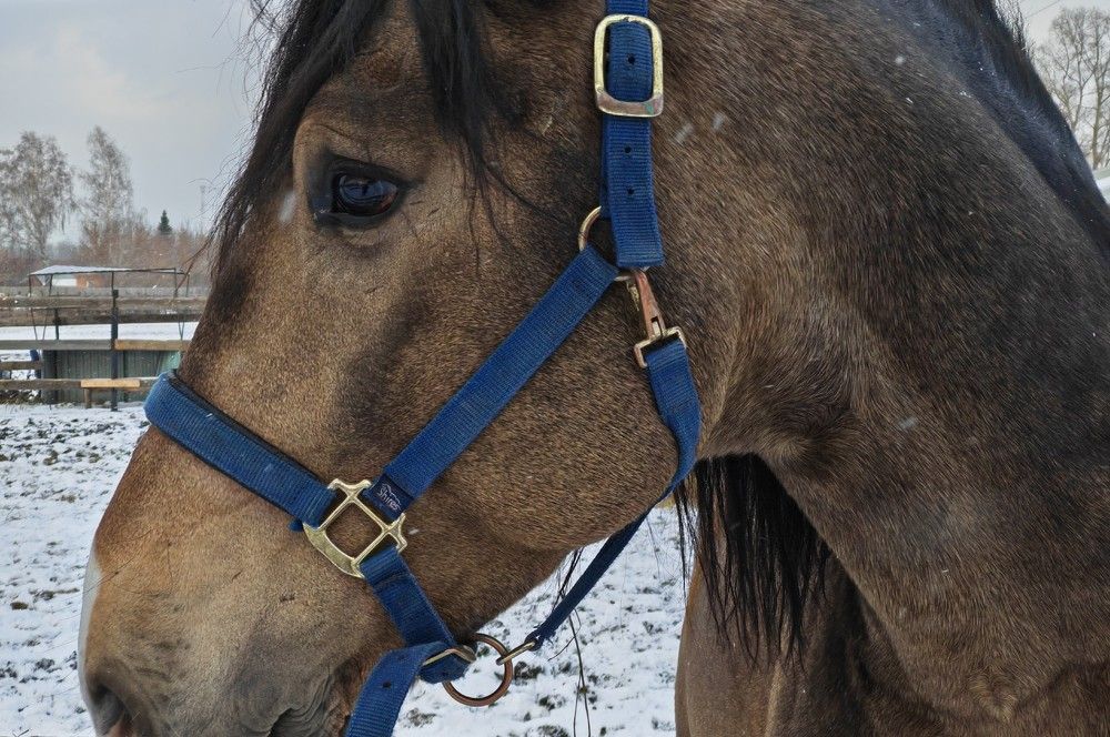 Фотография автора Евгения Гунина