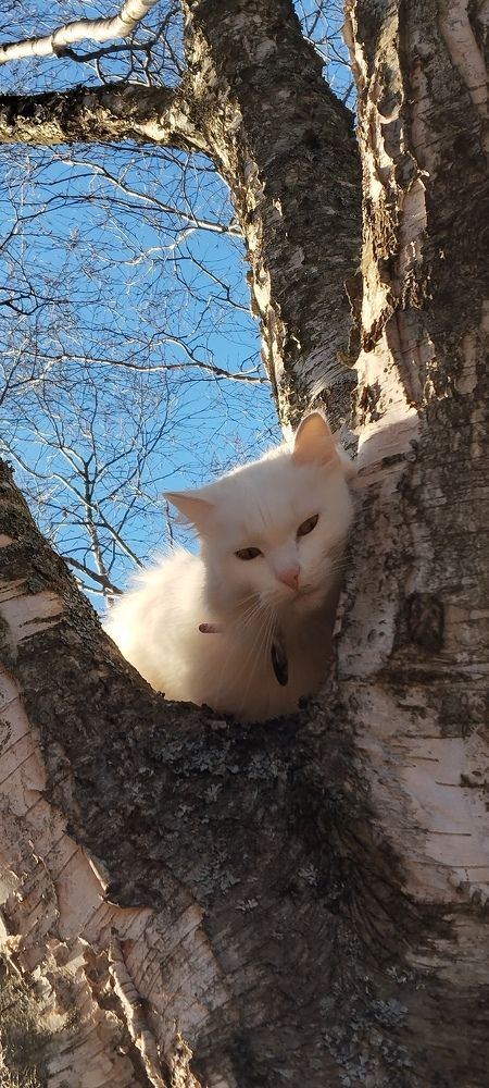 Photograph by Любовь Макарова