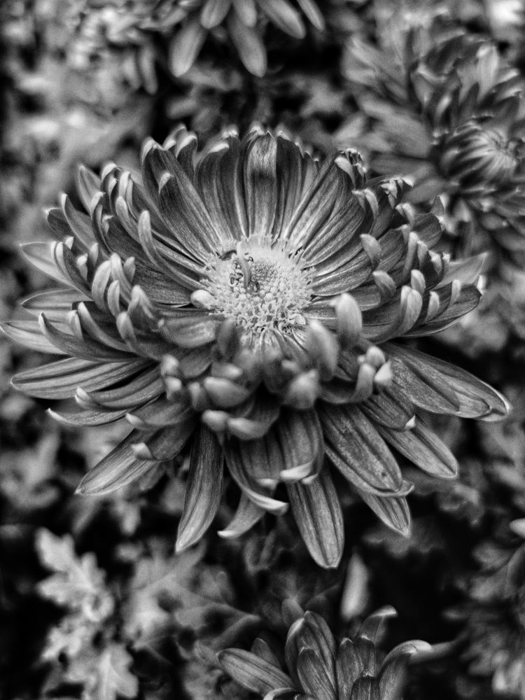 Photograph by Андрей Прокопенко