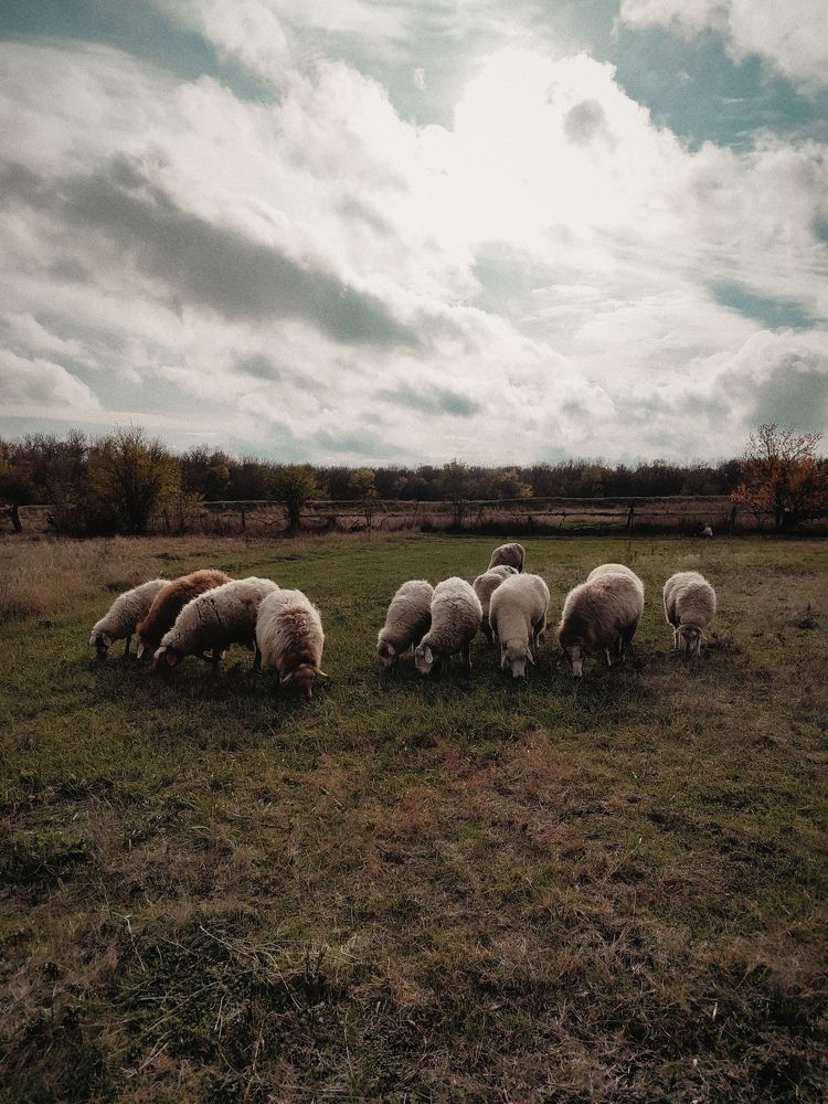 Photograph by Татьяна