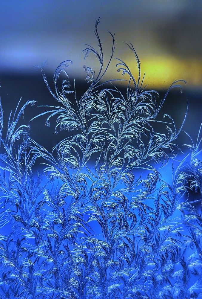 Photograph by Ольга Веселова