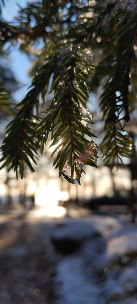 Photograph by Любовь Макарова