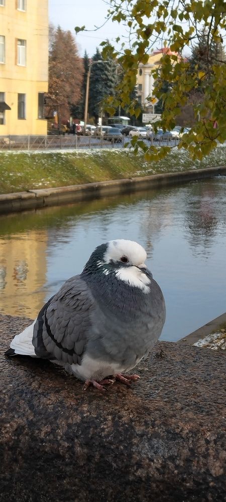 Photograph by Любовь Макарова