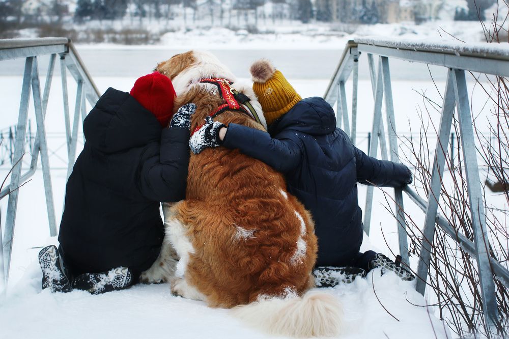 Photograph by Елена Федорова
