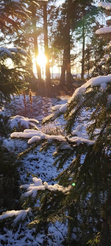 Photograph by Любовь Макарова