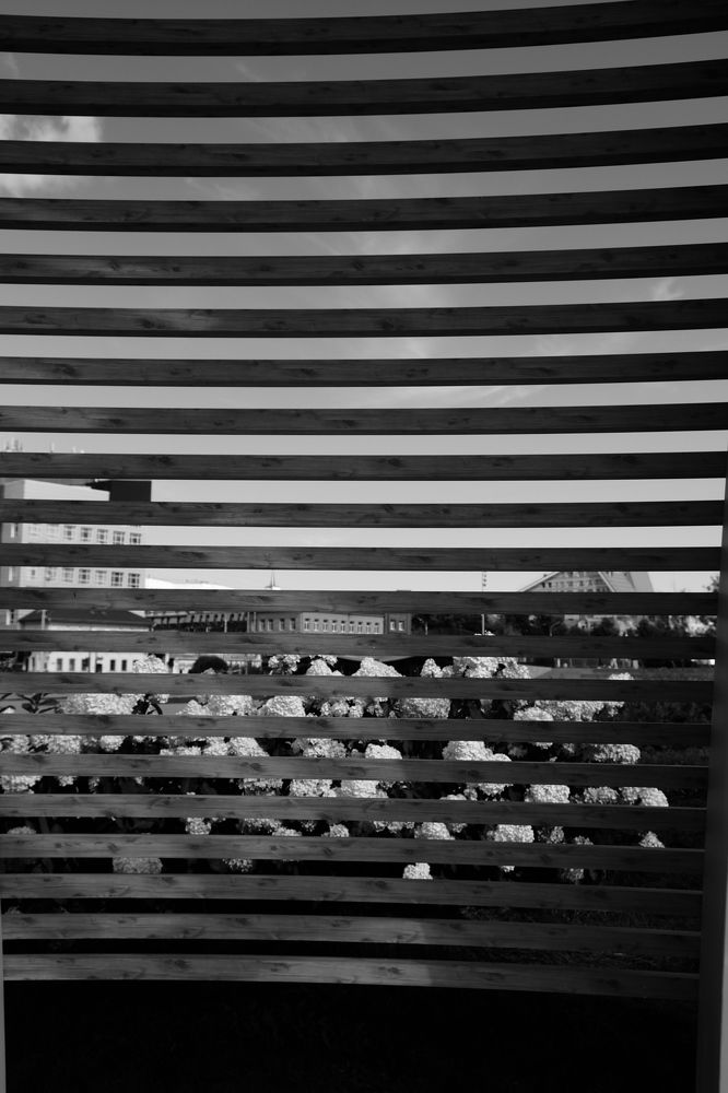 Photograph by Екатерина Хозяшева