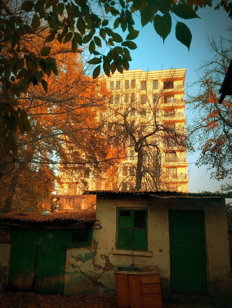 Photograph by Владимир Ким