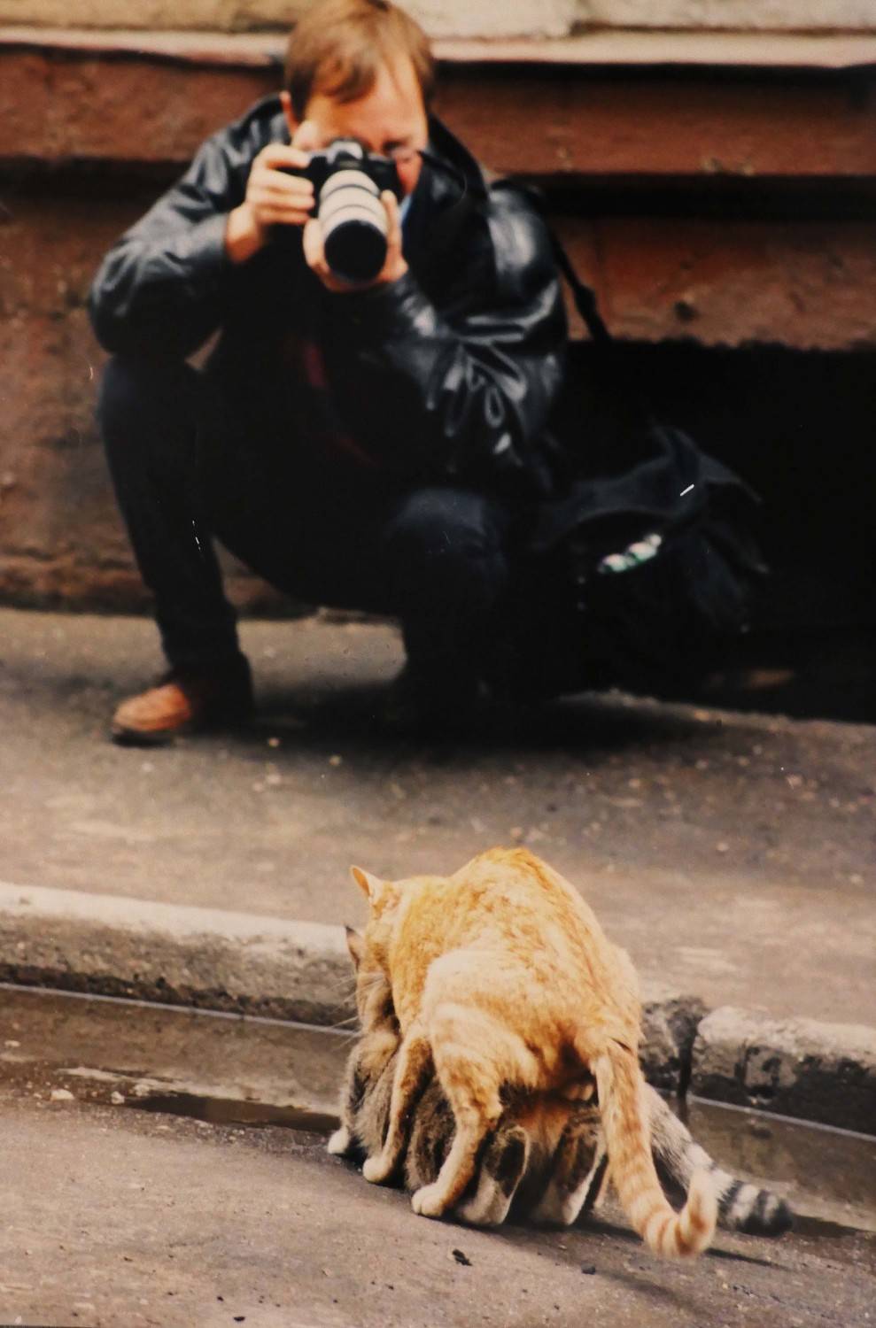 Photo #11329699