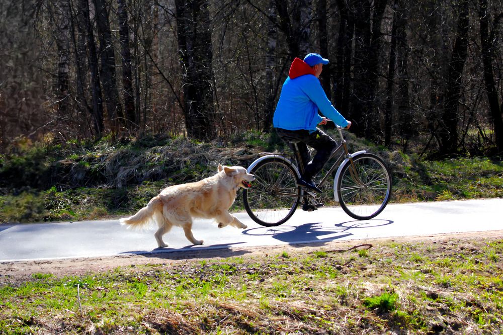 Photograph by Татьяна Слесарева