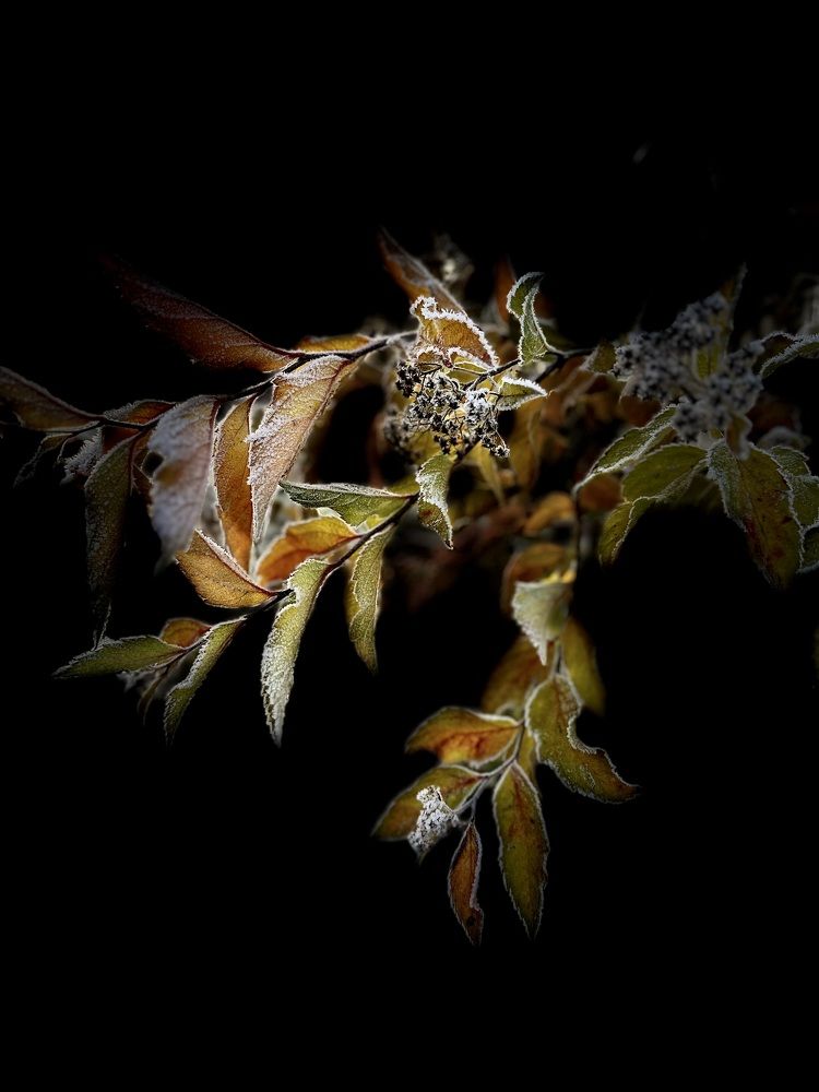Photograph by Елена Безперстова