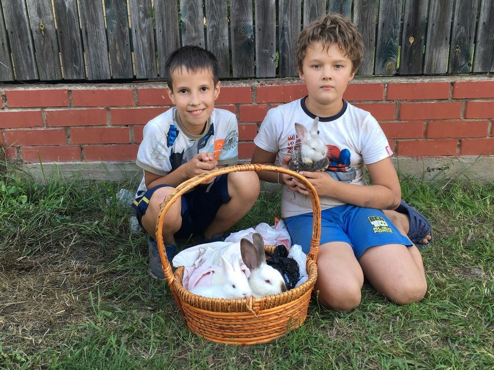 Деревенский зоомагазин