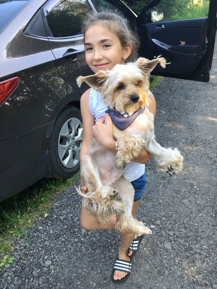 Проводы друга