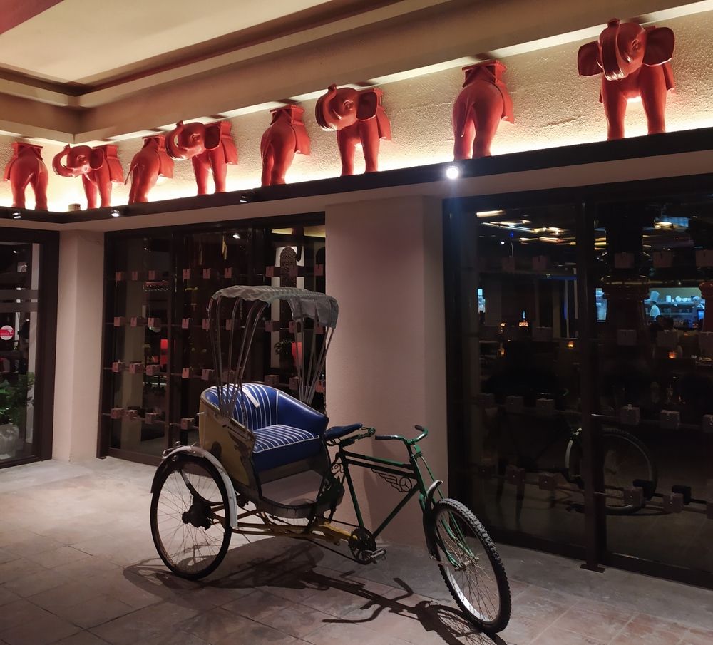 Фотография автора Елена Александрова