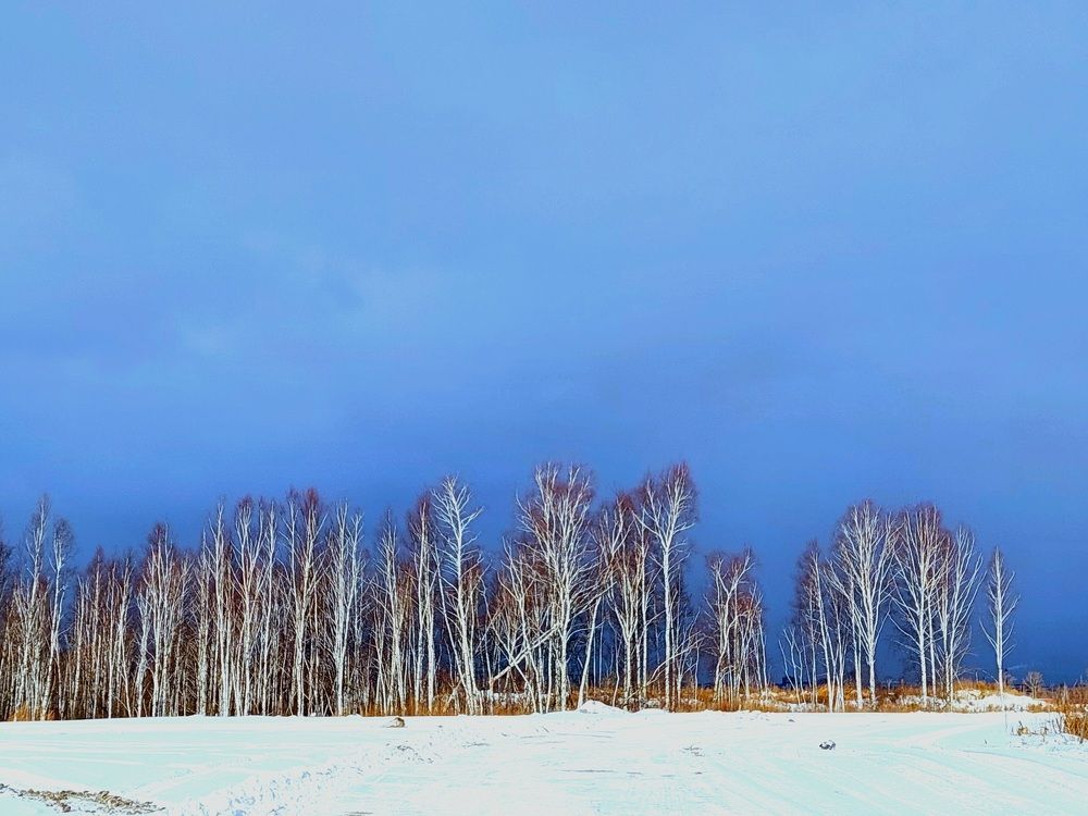 Фотография автора Анастасия Куликова