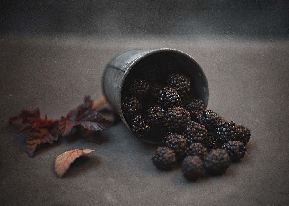 Фотография автора Наталья Ветошкина