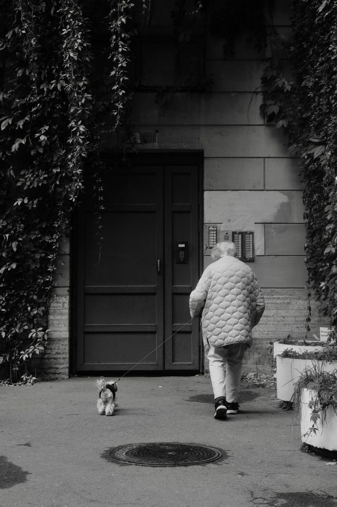 Photograph by Ольга БарбашOVа