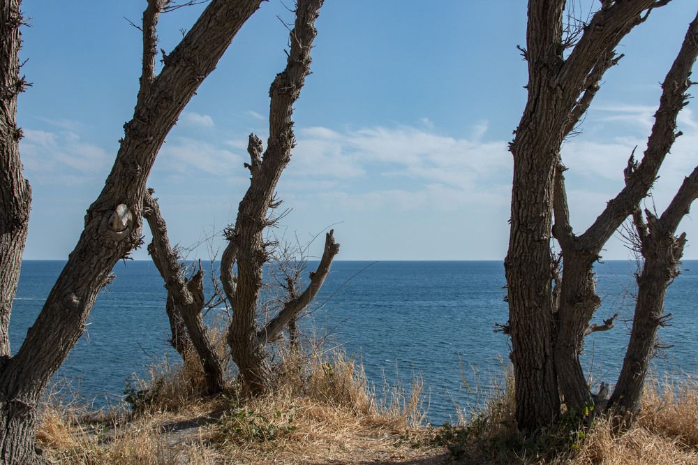 Photograph by Лиана Нагаева