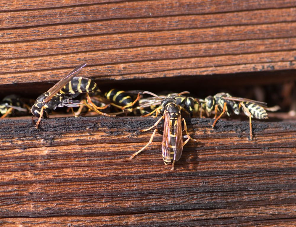 Photograph by Павел Новосёлов