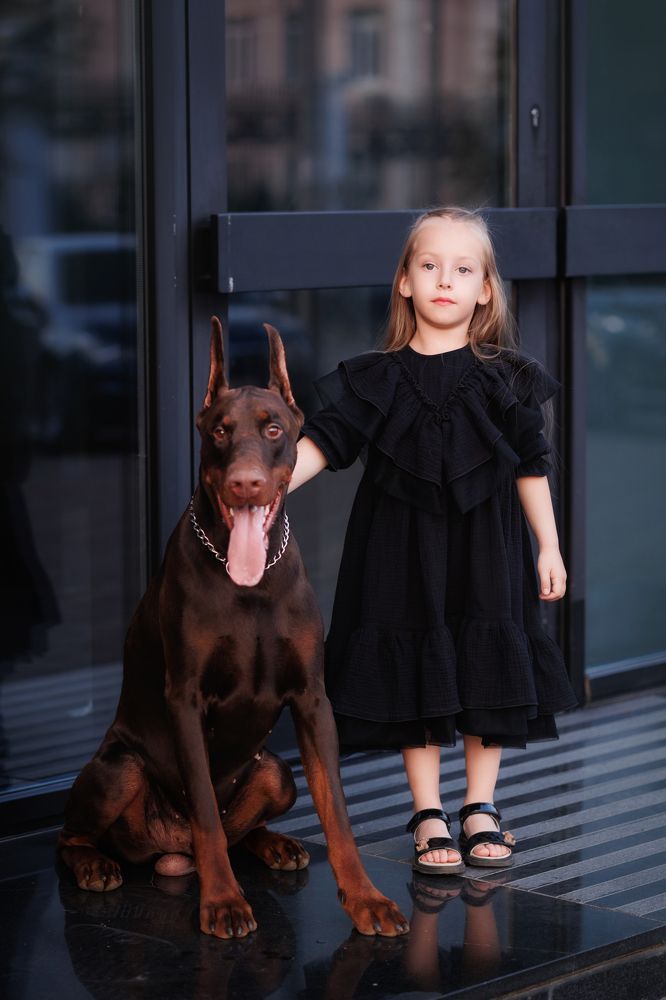 Фотография автора Тамара Дмитриева