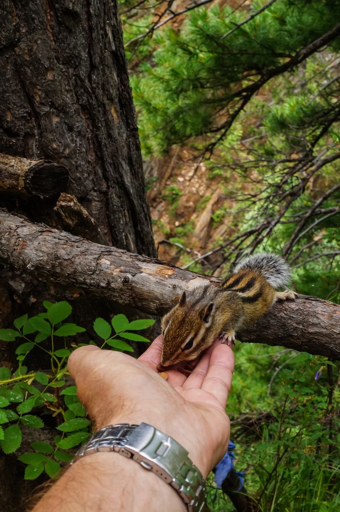 Photograph by Виктор Сёмушкин
