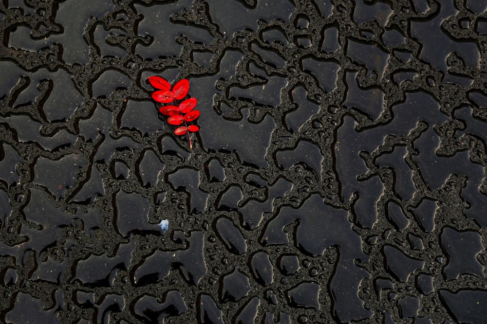 Фотография автора Попова Елена