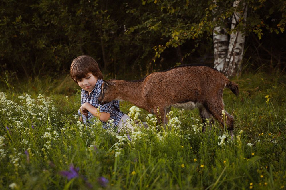 Photograph by Елена Сиднина