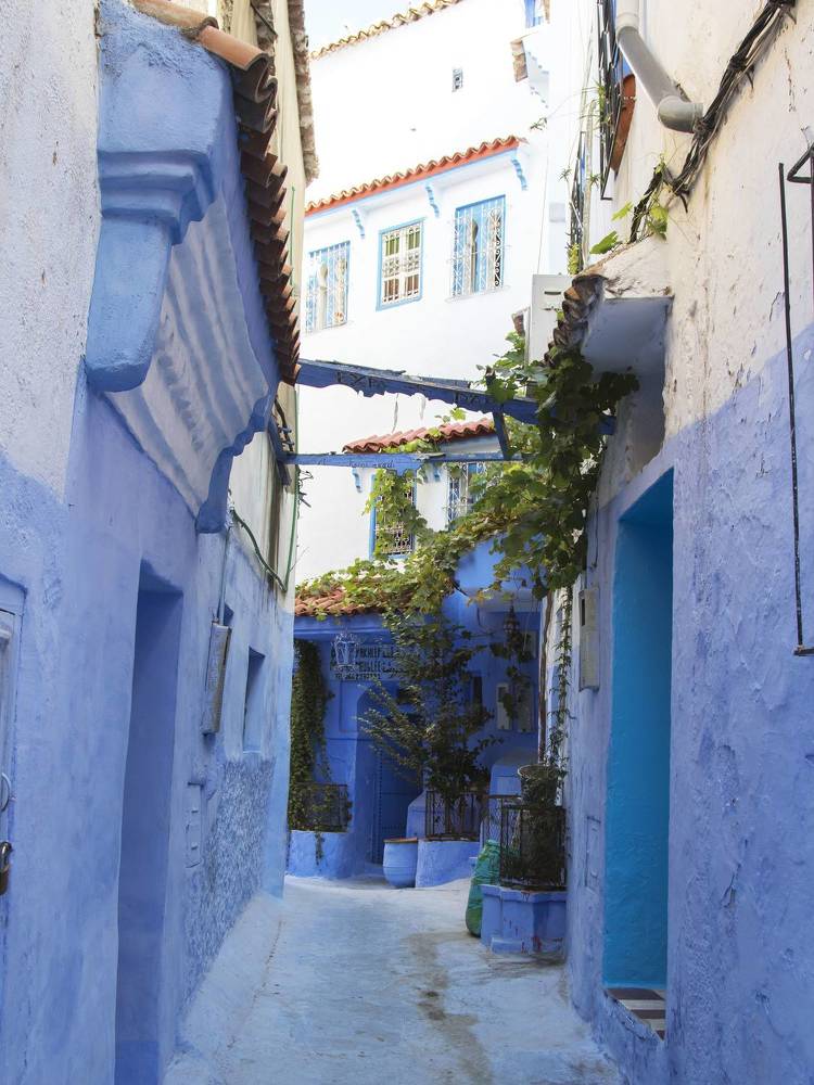 Photograph by Валентина Лопаткина