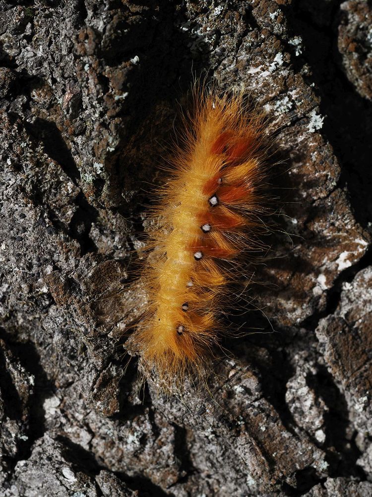 Photograph by Духанин Сергей