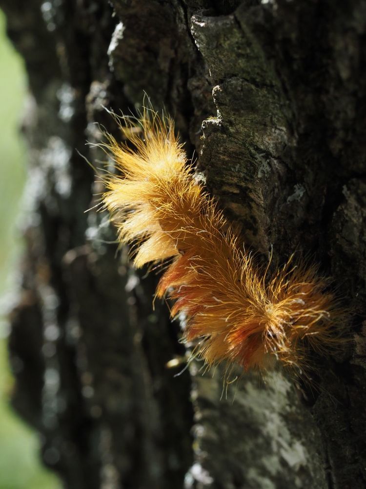 Photograph by Духанин Сергей