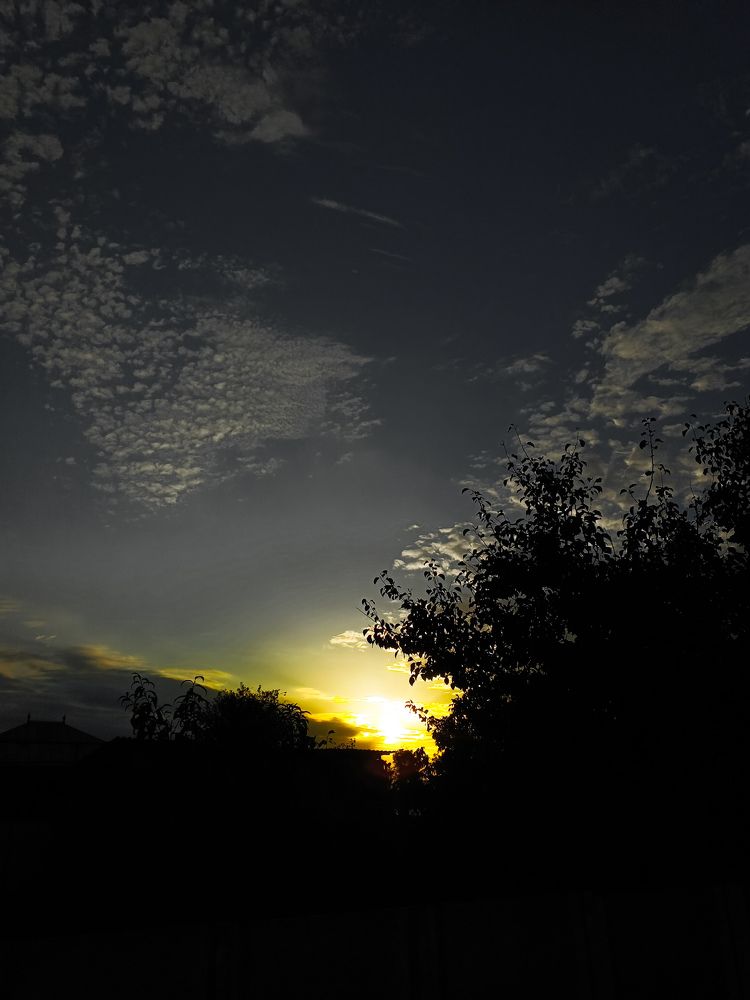 Photo #11330072