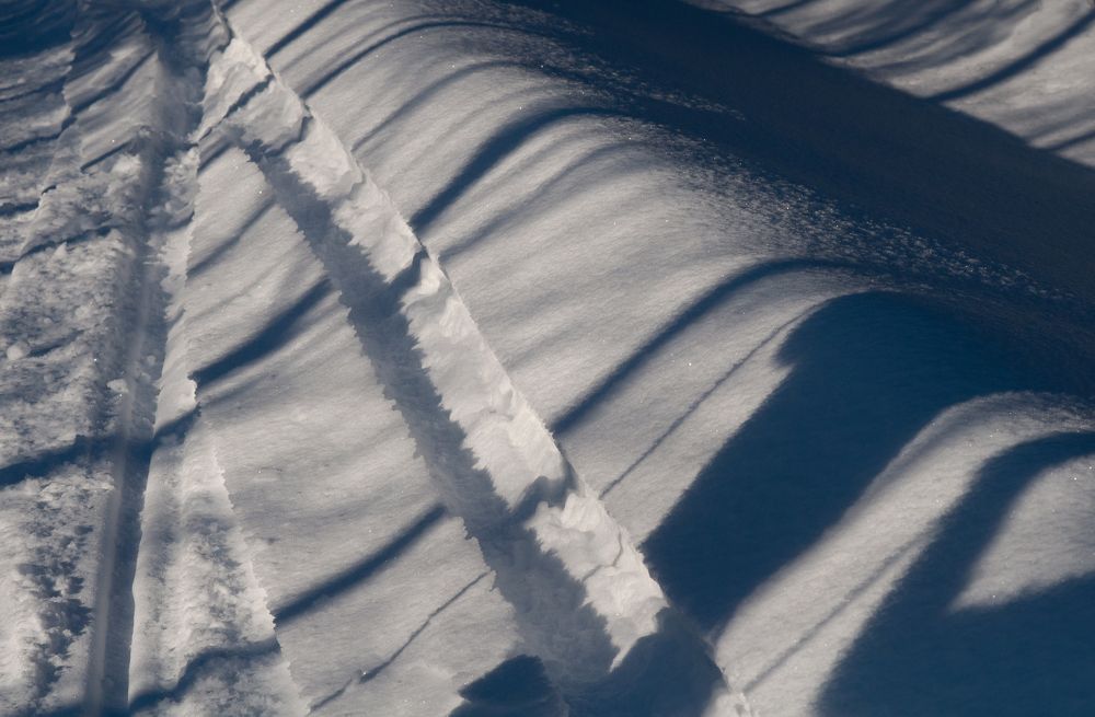 Photograph by Надежда