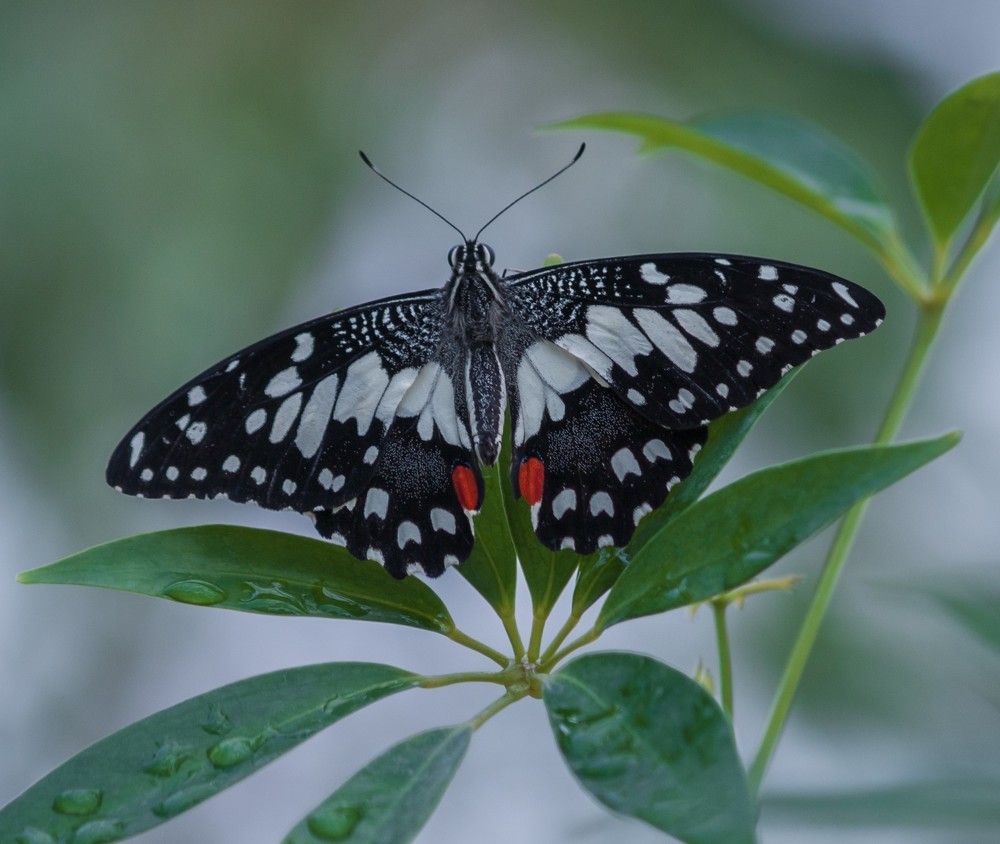 Photograph by Agita Leimane