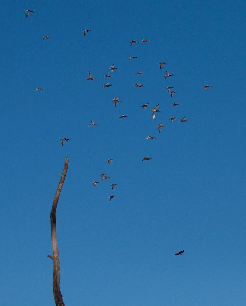 Photograph by Надежда