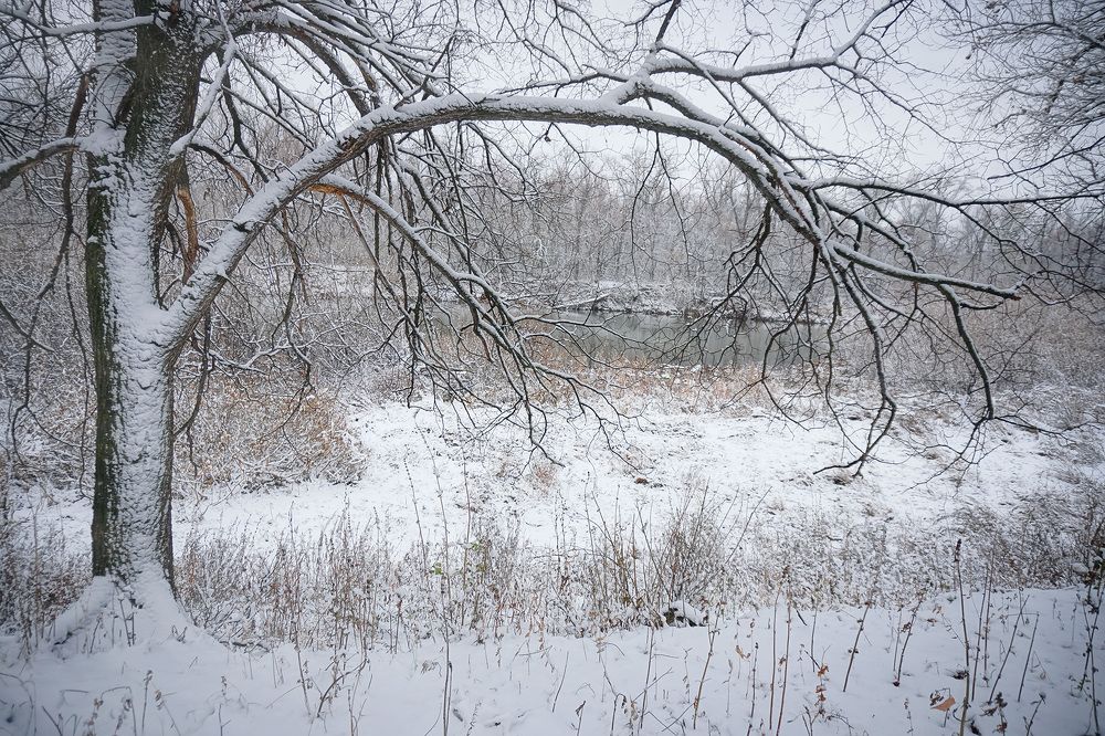 Первый снег