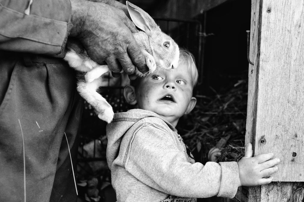 Photograph by Виктория Горельченко