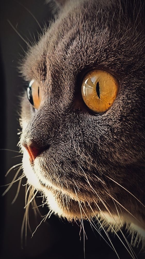 Photograph by Ульяна Северинова