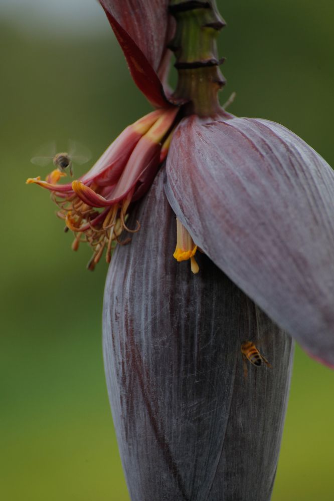 Photograph by Евфросиния Капустина