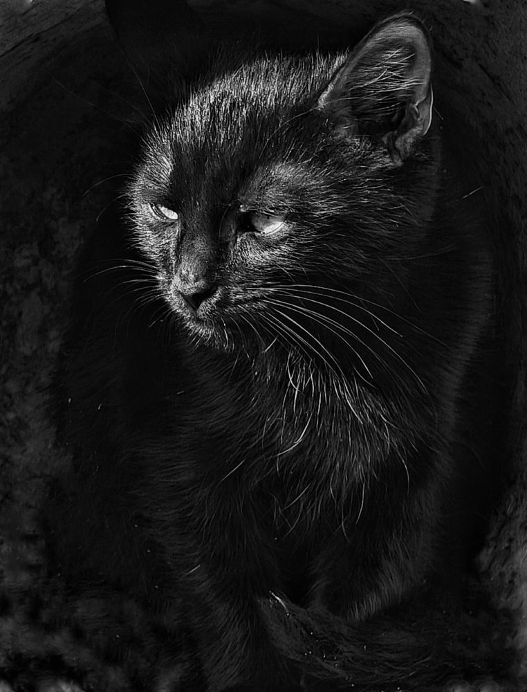 Photograph by Сергей Кошин