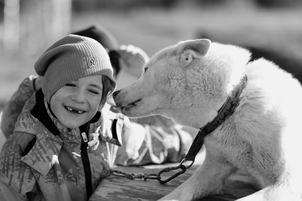 Фотография автора Alina Efimova