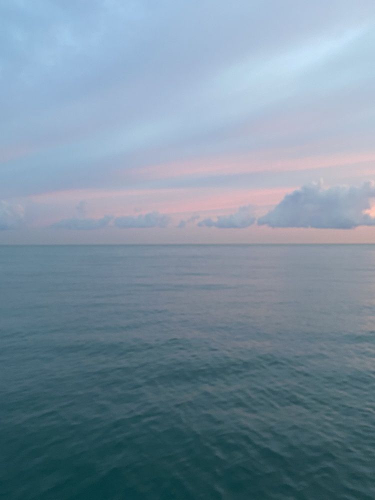 Photograph by Елена Горбенко