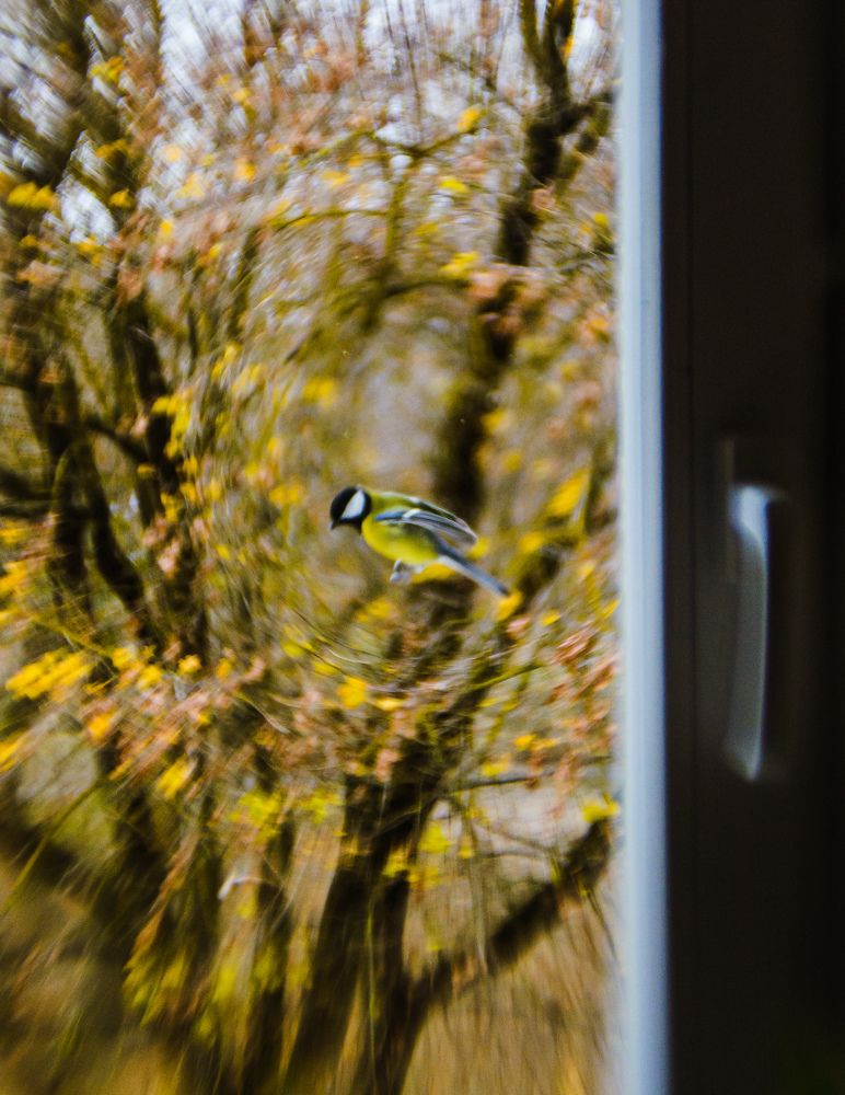 Photograph by Andrei Sosnouski