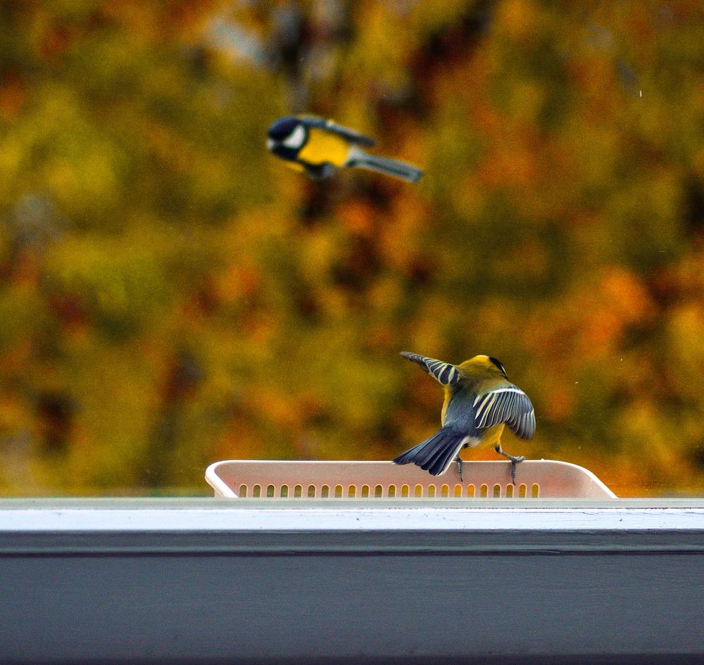 Photograph by Andrei Sosnouski