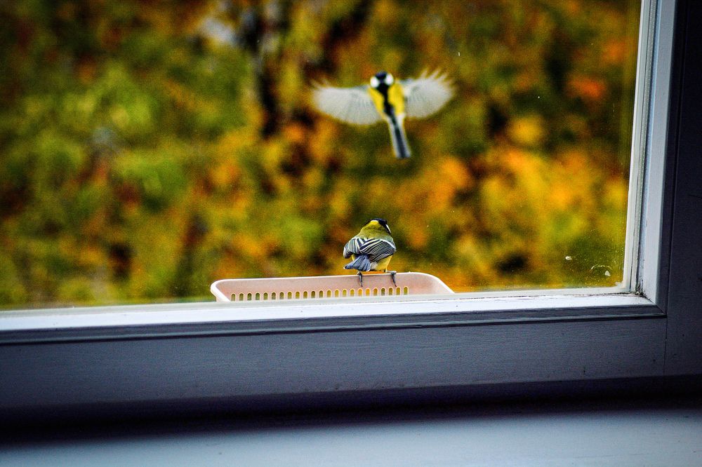 Photograph by Andrei Sosnouski