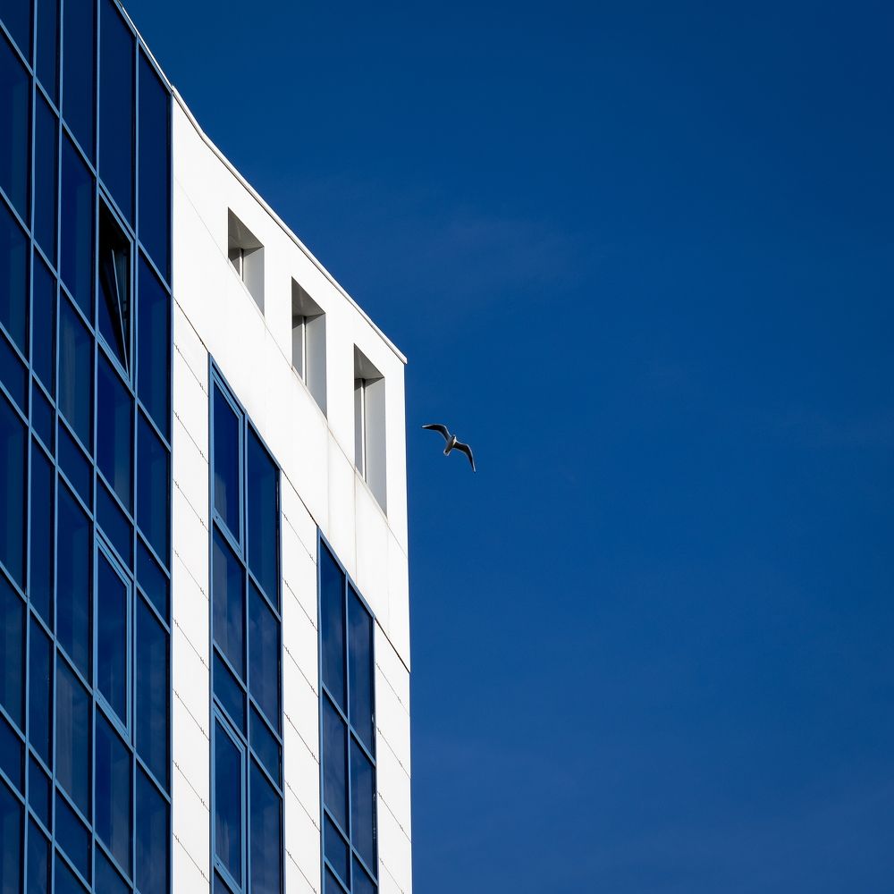 Photograph by Антон Дергунов